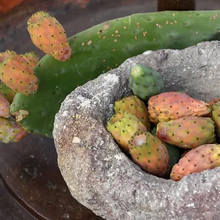 Dom wakacyjny Di Capo - Santorini Old Winery Luxury *